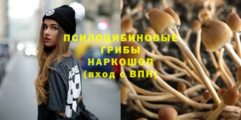 Галлюциногенные грибы Psilocybe  цена наркотик  MEGA ссылка  Североуральск 